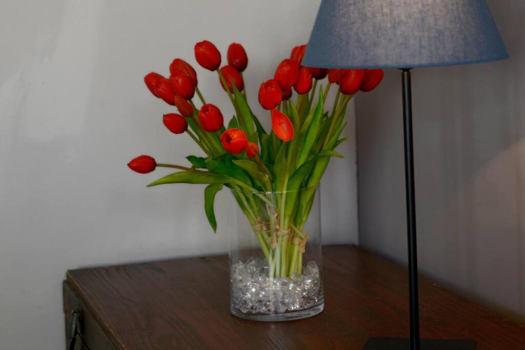 Otomo'shome_love Is On The Roof! For Big Groups Apartamento Florencia